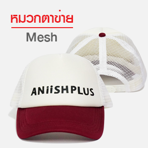 หมวกตาข่าย