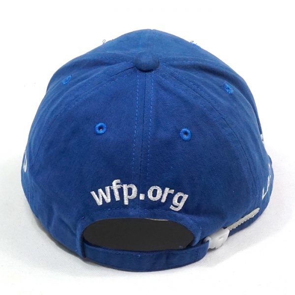 แบบหมวกแก๊ปWFP