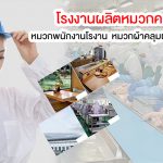 โรงงานผลิตหมวกคลุมผม หมวกพนักงานโรงาน หมวกผ้าคลุมผม หมวกตาข่าย